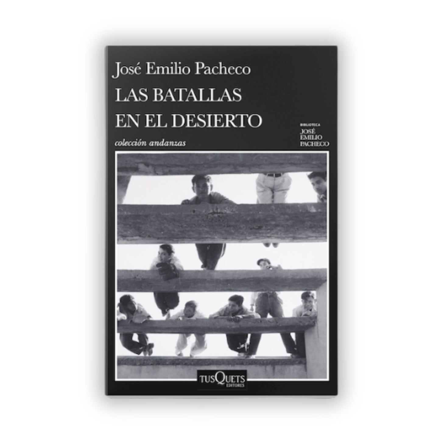 Las batallas en el desierto