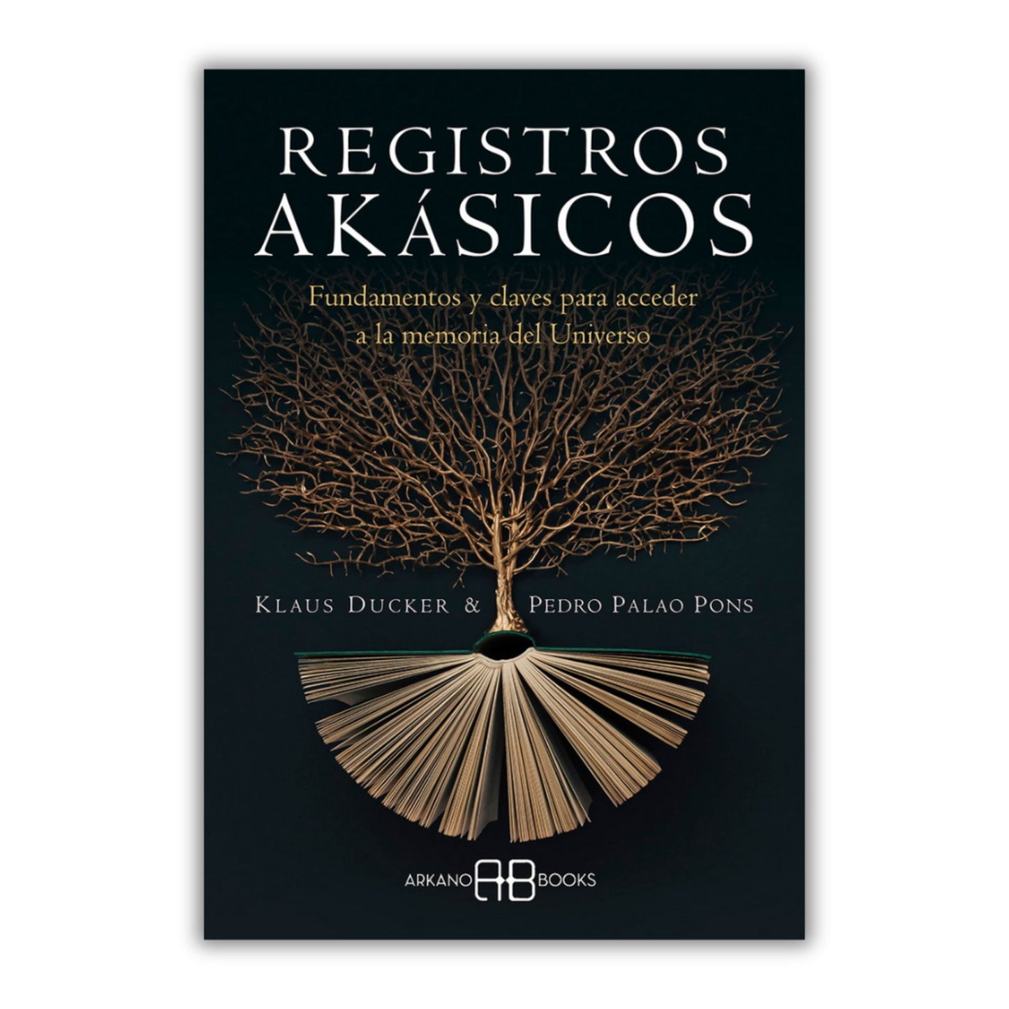 Registros Akásicos. Bajo pedido